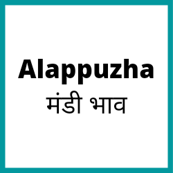 Alappuzha-mandi-bhav