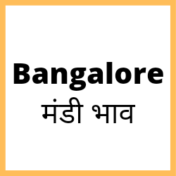 Bangalore-mandi-bhav