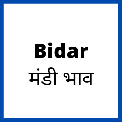 Bidar-mandi-bhav
