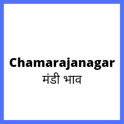 Chamarajanagar-mandi-bhav