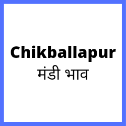 Chikballapur-mandi-bhav