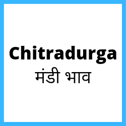 Chitradurga-mandi-bhav