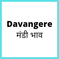 Davangere-mandi-bhav