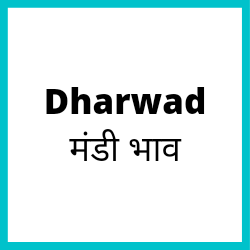 Dharwad-mandi-bhav