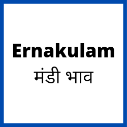 Ernakulam-mandi-bhav