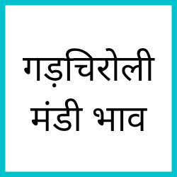 Gadchiroli-mandi-bhav