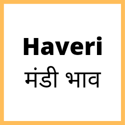 Haveri-mandi-bhav