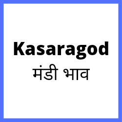 Kasaragod-mandi-bhav