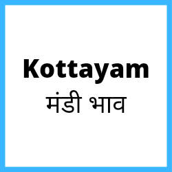 Kottayam-mandi-bhav