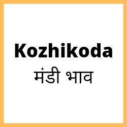 Kozhikode-mandi-bhav