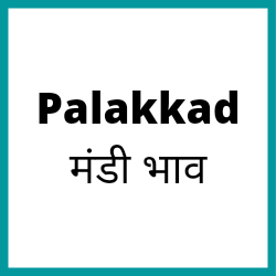 Palakkad-mandi-bhav