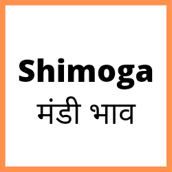 Shimoga-mandi-bhav