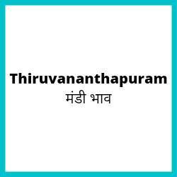 Thiruvananthapuram-mandi-bhav