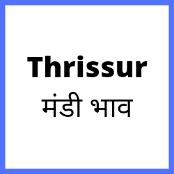Thrissur-mandi-bhav