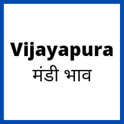Vijayapura-mandi-bhav