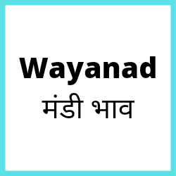 Wayanad-mandi-bhav