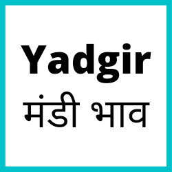 Yadgir-mandi-bhav
