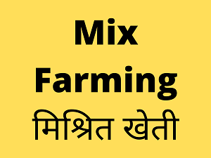 mix-farming